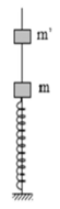 Một con lắc lò xo gồm một lò xo nhẹ độ cứng k=20 N/m   , đầu trên gắn với vật nhỏ m     khối lượng 100g   , đầu dưới cố định. Con lắc thẳng đứng nhờ một