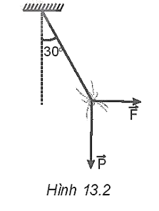 Một con nhện đang treo mình dưới một sợi tơ theo phương thẳng đứng thì bị một cơn gió thổi theo phương ngang làm dây treo lệch đi so với phương thẳng đứng một góc 30°. Biết trọng lượng của con nhện là P = 0,1 N. Xác định độ lớn của lực mà gió tác dụng lên con nhện ở vị trí cân bằng trong Hình 13.2. (ảnh 1)