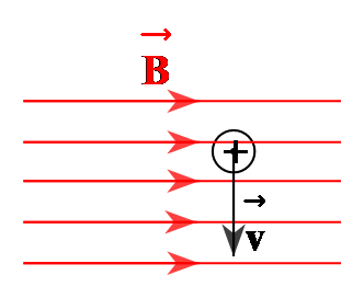 Một điện tích dương bay vào trong vùng từ trường đều (như hình vẽ). Lực Lorenxơ có chiều: