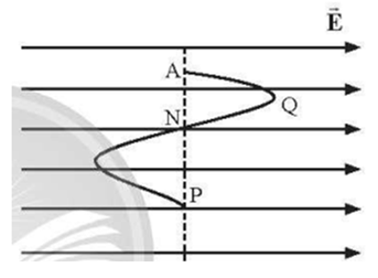 Một điện tích q chuyển động từ điểm A đến P theo lộ trình như hình vẽ (A → Q → N → P) trong điện trường đều. Đáp án nào sau đây là đúng khi nói về mối