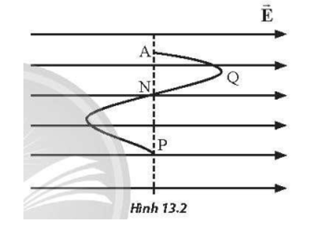 Một điện tích q chuyển động từ điểm A đến P theo lộ trình như Hình 13.2 (A → Q → N → P) trong điện trường đều. Đáp án nào sau đây là đúng khi nói về mối