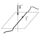 Một đoạn dây dẫn có dòng điện I nằm ngang đặt trong từ trường có (ảnh 1)