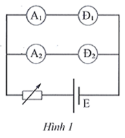 Một học sinh đo cường độ dòng điện đi qua các đèn Đ1 và Đ2 (hình 1) được các giá trị lần lượt là

\[{I_1} = \left( {2,0 \pm 0,1} \right)A\] .

\[{I_2}