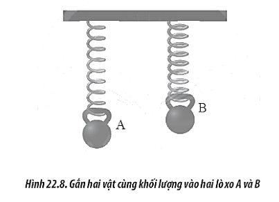 Một học sinh thực hiện thí nghiệm như Hình 22.8 để đo độ cứng của hai lò xo A và B có cùng chiều dài tự nhiên. Cho biết hai vật nặng có cùng khối lượng.