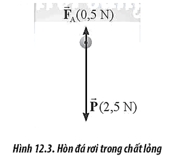 Một hòn đá được thả rơi vào chất lỏng. Sau một khoảng thời gian, người ta quan sát (ảnh 1)