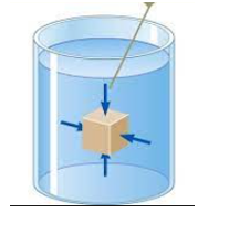 Một khối hộp có dạng hình lập phương nặng 1g đặt trong nước nguyên chất có khối lượng riêng ρ = 1000kg/m3. Mỗi cạnh của hộp có độ dài 1cm. Khối hộp này