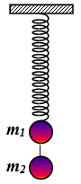 Một lò xo nhẹ có k = 100N/m treo thẳng đứng, đầu dưới treo hai vật nặng   m1 = m2  = 100g. Khoảng cách từ  m2 tới mặt đất là 98(m). Bỏ qua khoảng cách