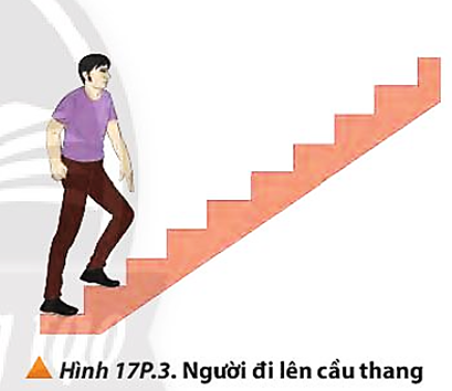 Một người đi bộ lên các bậc thang như Hình 17P.3. Các bậc thang có chiều cao 15 cm, tổng cộng có 25 bậc thang. Người đi bộ này có khối lượng là 55 kg,