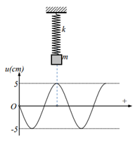 Một sợi dây đàn hồi rất dài được căng ngang và một con lắc lò xo treo trong cùng một mặt phẳng thẳng đứng. Con lắc lò xo có độ cứng k =10 N/m, vật nhỏ