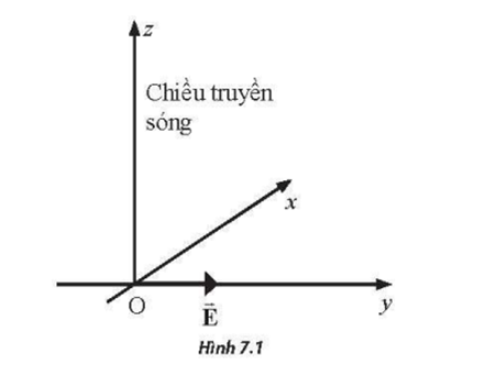 Một sóng điện từ truyền theo phương thẳng đứng, chiều từ dưới lên trên theo chiều dương của trục Oz (Hình 7.1). Tại một thời điểm xác định, vectơ cường