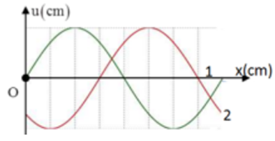 Một sóng hình sin đang truyền trên một sợi dây, theo chiều dương của trục Ox. Hình vẽ mô tả hình dạng của sợi dây ở các thời điểm t và t2=t1+0,3s. Chu