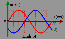 Một sóng hình sin đang truyền trên một sợi dây, theo chiều dương của trục Ox. Hình vẽ mô tả hình dạng của sợi dây ở các thời điểm t1 và t2=t1+0,3 s.  Chu