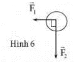 Một vật chịu tác dụng của hai lực F1 và F2 như hình 6. Cho F1 = 5 N, F2 = 12 N. Tìm F3 để vật cân bằng, biết khối lượng của vật không đáng kể.