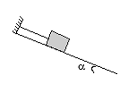 Một vật có khối lượng 1 kg được giữ yên trên một mặt phẳng nghiêng bởi một sợi dây song song với đường dốc chính. Biết α = 300. Cho g = 9,8 m/s2. Lực căng