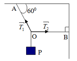 Một vật có trọng lượng P đứng cân bằng nhờ 2 dây OA làm với trần một góc 600 và OB nằm ngang. Độ lớn của lực căng T1 của dây OA bằng   (ảnh 1)