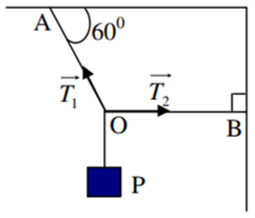 Một vật có trọng lượng P đứng cân bằng nhờ 2 dây OA làm với trần một góc 600 và OB nằm ngang. Độ lớn lực căng T1 của dây OA bằng: