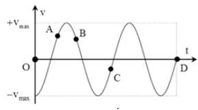 Một vật dao động điều hòa có đồ thị vận tốc như hình vẽ. Nhận định nào sau đây là  đúng?