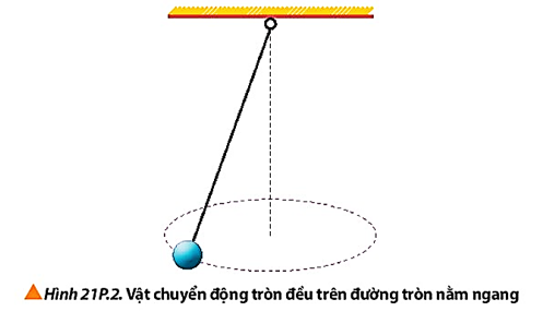 Một vật nặng có kích thước nhỏ, có khối lượng 0,50 kg, được buộc vào đầu một dây có chiều dài 1,5 m. Vật chuyển động đều trên đường tròn nằm ngang (Hình