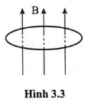 Một vòng dây dẫn phẳng có diện tích \(S = 160\;{\rm{c}}{{\rm{m}}^2}\) được đặt vuông góc với cảm ứng từ trong một từ trường đồng nhất nhưng có độ lớn tăng đều với tốc độ \(0,020\;{\rm{T}}/{\rm{s}}\) (Hình 3.3). a) Tìm độ lớn suất điện động càm ứng trong vòng dây. b) Biết tổng điện trở của mạch là \(5,0\Omega \), tính cường độ của dòng điện cảm ứng trong vòng dây. (ảnh 1)