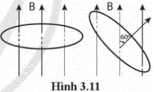 Một vòng dây dẫn phẳng hình tròn có diện tích S = 30 cm2 ở trong một từ trường đều có B = 0,2 T.  (ảnh 1)