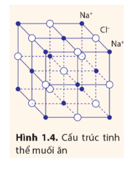 Muối ăn có cấu trúc tinh thể gồm các ion Na+ và Cl- có vị trí cân bằng trùng với đỉnh của khối lập phương (Hình 1.4). Tìm thông tin và trả lời câu hỏi: