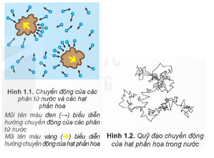 a) Tại sao thí nghiệm của Brown được coi là một trong những thí nghiệm chứng tỏ các phân tử chuyển động hỗn loạn, không ngừng? (ảnh 1)