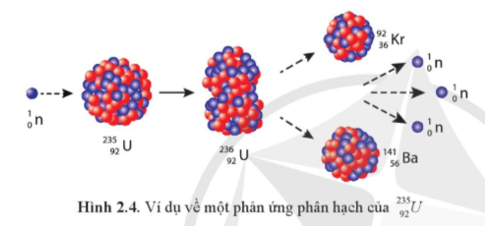 Năng lượng toả ra khi 1,000 kg 92235U  bị phân hạch hoàn toàn theo phản ứng trong Hình 2.4 tương đương với năng lượng toả ra khi đốt cháy bao nhiêu tấn