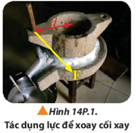 Người ta tác dụng lực   có độ lớn 80 N lên tay quay để xoay chiếc cối xay như Hình 14P.1. Cho rằng   có phương tiếp tuyến với bề mặt cối xay, khoảng cách từ tay quay đến tâm quay là d = 40 cm. Xác định moment của lực   đối với trục quay qua tâm cối xay. (ảnh 1)