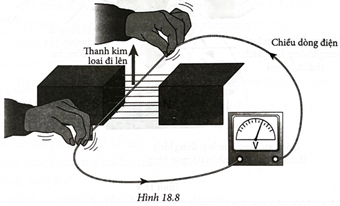 Nối thanh kim loại với dây dẫn và điện kế thành mạch kín như Hình 18.8.

Nhận định nào sau đây là đúng hay sai về sự xuất hiện dòng điện trong dây dẫn?