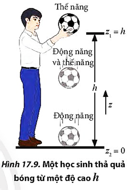 Phân tích lực tác dụng lên quả bóng và sự chuyển hóa giữa động năng và thế năng của quả bóng trong quá trình rơi (Hình 17.9).