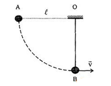 Quả cầu khối lượng m = 0,1 kg treo dưới một dây dài l  = 1 m. Nâng quả cầu lên để dây treo nằm ngang rồi buông tay. Biết vận tốc của quả cầu ở vị trí cân