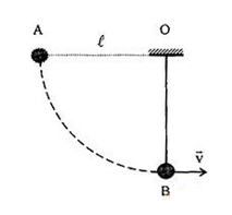 Quả cầu khối lượng m = 0,1 kg treo dưới một dây dài  l   = 1 m. Nâng quả cầu lên để dây treo nằm ngang rồi buông tay. Biết vận tốc của quả cầu ở vị trí
