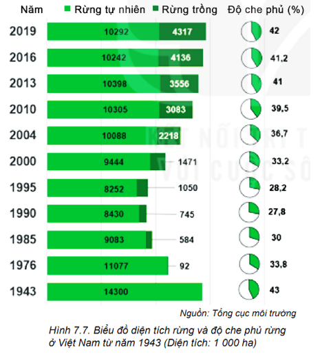 Quan sát biểu đồ Hình 7.7 và nhận xét về diện tích, độ che phủ rừng ở Việt Nam qua các năm và tác động của những chính sách của chính phủ trong việc bảo