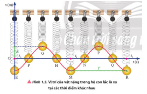 Quan sát Hình 1.5 và chỉ ra những điểm:

a) Có toạ độ dương, âm hoặc bằng không.

b) Có khoảng cách đến vị trí cân bằng cực đại.

c) Gần nhau nhất có cùng