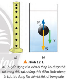 Quan sát hình 12.1, vẽ vecto lực cản của dầu tác dụng lên viên bi và mô tả chuyển động của viên bi khi được thả không vận tốc đầu vào dầu.