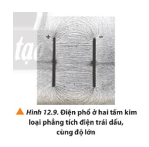 Quan sát Hình 12.9, vẽ đường sức điện trường trong vùng không gian giữa hai tấm kim loại phẳng.