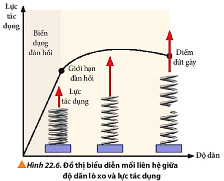 Quan sát Hình 22.6, nhận xét sơ lược về tính chất của lò xo khi tăng lực tác dụng. Khi lò xo còn đang có biến dạng đàn hồi, đưa ra dự đoán về mối quan hệ giữa độ dãn của lò xo và lực tác dụng. (ảnh 1)