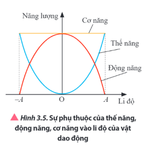 Quan sát Hình 3.5 và mô tả sự thay đổi của động năng và thế năng khi vật dao động di chuyển từ biên âm đến biên dương.   (ảnh 1)