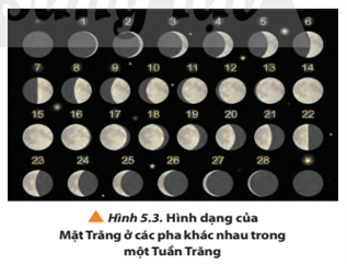 Quan sát Hình 5.3, kết hợp với những kinh nghiệm của bản thân, hãy cho biết em đã từng thấy Mặt Trăng có những hình dạng nào?