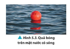 Quan sát Hình 5.3 và dự đoán phương chuyển động của quả bóng khi có sóng trên mặt nước trong điều kiện lặng gió.