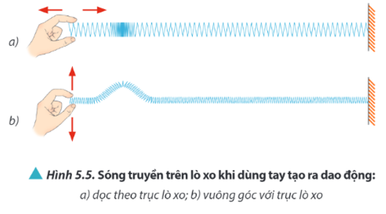 Quan sát Hình 5.5, hãy so sánh phương truyền sóng và phương dao động của từng điểm trên lò xo trong hai trường hợp.