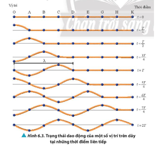 Quan sát Hình 6.3, hãy: a) Chỉ ra những điểm trên dây đang có trạng thái dao động giống nhau tại thời điểm đang xét. b) So sánh trạng thái dao động của điểm D với trạng thái dao động của nguồn O khi t ≥ T. (ảnh 1)