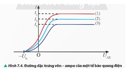 Quan sát Hình 7.4 và sắp xếp các đường đồ thị (1), (2), (3) theo thứ tự tăng dần của cường độ bức xạ điện từ kích thích.