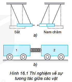 Quan sát thí nghiệm được mô tả trong Hình 16.1.   1. Một thanh sắt và một thanh nam châm được treo như Hình 16.1a. Trong thí nghiệm này, lực nào làm cho thanh nam châm dịch chuyển lại gần thanh sắt? 2. Xe lăn 1 có khối lượng m1 và có gắn một lò xo nhẹ. Xe lăn 2 có khối lượng m2. Ta cho hai xe áp lại gần nhau bằng cách buộc dây để nén lò xo (Hình 16.1b). Quan sát hiện tượng xảy ra khi đốt sợi dây buộc. Thảo luận để làm sáng tỏ ý kiến sau: Lực không tồn tại riêng lẻ. Các lực hút hoặc đẩy xuất hiện thành từng cặp giữa các vật. (ảnh 1)