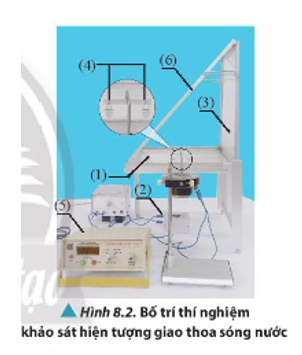 Quan sát thí nghiệm được thực hiện theo bố trí trong Hình 8.2 và nhận xét sóng tạo bởi hai viên bi về: tần số, pha và phương dao động.   (ảnh 1)