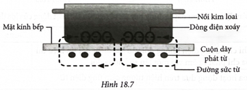 Sơ đồ nguyên tắc hoạt động của bếp từ được mô tả như Hình 18.7.

Nhận định nào sau đây là đúng hay sai về nguyên tắc hoạt động của bếp từ?     

Nhận định