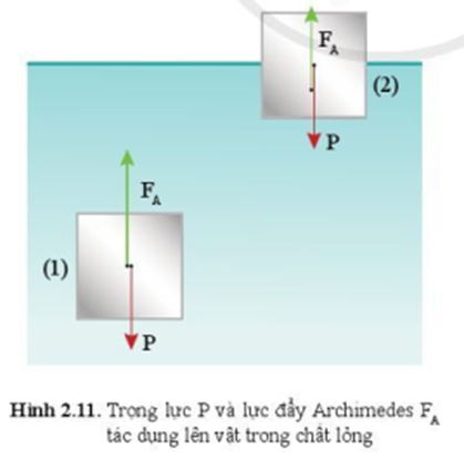 So sánh lực đẩy Archimedes tác dụng lên cùng một vật khi nó ở hai vị trí (1) và vị trí (2) trong hình 2.11. Biết rằng ở (1) thì vật đang chuyển động lên