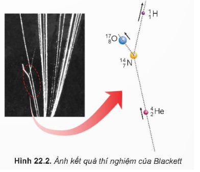 So sánh tổng số điện tích, tổng số nucleon của các hạt nhân trước và sau khi tương tác trong thí nghiệm như mô tả ở Hình 22.2.