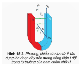 Sử dụng quy tắc bàn tay trái để kiểm chứng chiều của lực từ tác dụng lên thanh kim loại M1M2 trong Hình 15.2. (ảnh 1)