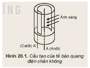 Tế bào quang điện chân không (Hình 20.1) gồm một ống hình trụ có một cửa sổ trong suốt, được hút chân không (áp suất trong khoảng 10-8 mmHg đến 10-6 mmHg).